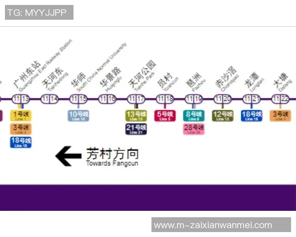 2026年3月份新闻广州篮球队球员个人能力深度解析与发展潜力展望